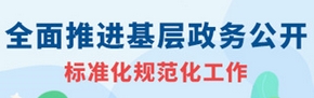 基层买球信誉登录入口标准化规范化