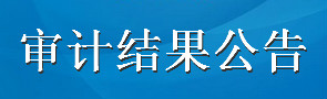 审计公告