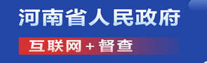 互联网+督查